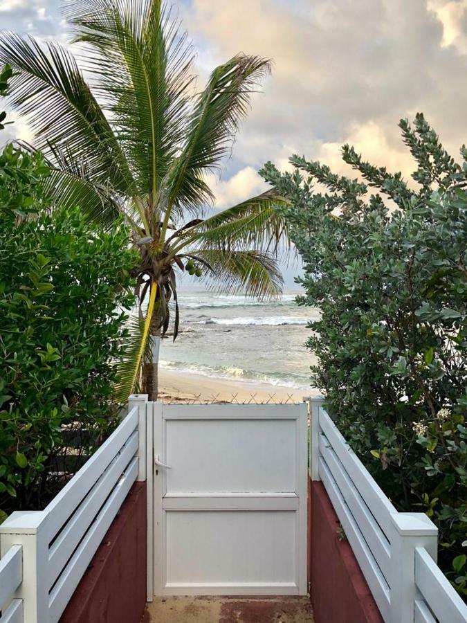 Appartement Au Bord De Mer Ле-Муль Екстер'єр фото
